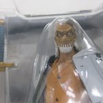 窓越しに本体の上半身を寄って撮影。白い髪と眼鏡の造形が分かる。