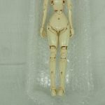 本体の全身を上から撮影。腕と脚の可動部が見えます。