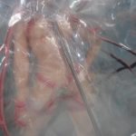 袋越しに本体の全体。台座に立った姿勢である。
