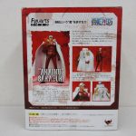 箱の裏面。全身と背面の作例写真、商品説明が入る。