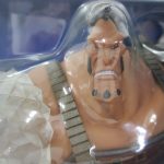 窓を寄って撮影。上半身とダイヤモンドの腕の造形が分かる。