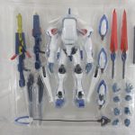ブリスター全体を上から見たところ。本体・武器・交換用パーツがそろっている。