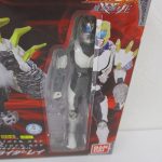 箱の表面の右側。仮面ライダーレイの本体がブリスターに収まっている。