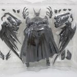 ブリスターを上から見たところ。本体とマント・爪パーツがそろっている。