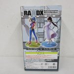 外箱の裏面。シリーズの作例写真が並ぶ。