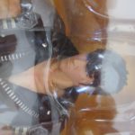 ブリスターを寄って撮影。上半身の造形と衣装の質感が分かる。