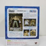 外箱の裏面。作例写真と商品の解説が並ぶ。