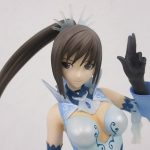 顔と上半身のアップ。長いポニーテールです。