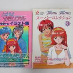 同じ出品にあった2冊を並べた表紙。左が本商品です。