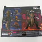 外箱の背面。ガイガンの写真と商品説明