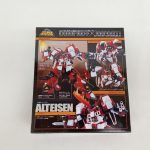外箱の背面。機体の写真と『ALTEISEN』の文字