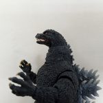 上半身と腕の拡大