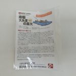 袋に入った解説書。南極大氷原の轟天の説明