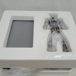 発泡トレーに収まったブリスター入りの本体