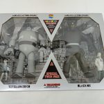 外箱の正面を近くから写した写真。SPECIAL TWIN PACKの表示