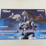 外箱の正面。『MECHAGODZILLA(1993) & GARUDA & FIRE RODAN』のロゴとイラスト