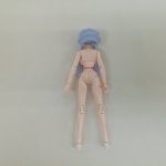 素体の全身を背面から写した写真
