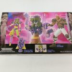 外箱の背面。キャラクターの絵と商品の説明が印刷されています。