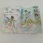 外箱の裏面。「Pegasus God Cloth!!」「Pegasus Seiya」の文字とキャラクターの絵があります。