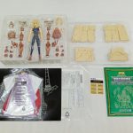透明トレイのフィギュアとパーツ、袋に入った布のローブ、注意書きの紙、緑色の取扱説明書を並べた写真。