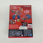 外箱の背面。変形した姿の写真と多言語の説明が印刷されています。