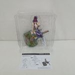 ブリスターに収まったフィギュアと説明書