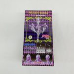 外箱の背面。ポーズを取った写真と付属パーツの写真