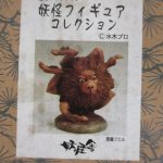 外箱正面の拡大。ライオンの頭に足が生えた姿の写真があります。