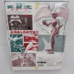 外箱の背面。完成見本の写真があります。
