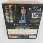 外箱の背面。フィギュアの全身写真があります。