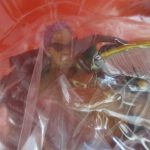 窓越しにゼットの頭部を撮影しています。