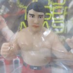 ブリスター越しに撮影した本体の上半身。素顔の造形です。