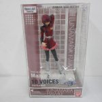 外箱の正面。LUNAMARIA HAWKE と 10 VOICES の印字があります。
