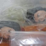 袋越しにフジアキコ隊員の頭部パーツを撮影しています。