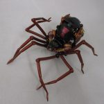 クモ形態の本体を撮影。