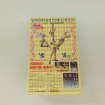 外箱の背面。ポーズ例の写真と可動の説明