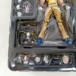 ブリスター内のイギーと交換用の頭部・手首パーツ