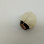 ヘルメットの背面