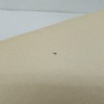 輸送箱の小さな穴のアップ