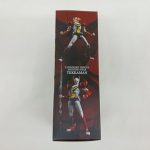 外箱の側面。テッカマンの絵2点