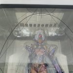 透明の外箱越しに見えるフィギュアの上半身