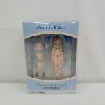 箱の正面。Bikini Matesのロゴと窓から見える人形と付属のパーツ