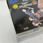 外箱側面の寄り。『RANCOR and LUKE SKYWALKER』の表記