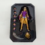 トレーに収まったフィギュアと交換用の手首・パーツ