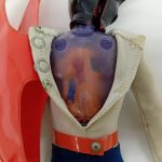 衣装を開いた背中。透明な紫色の素体の胸部