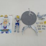 説明書、キグナス氷河のフィギュア、台座、白鳥の形のオブジェと手首などの付属パーツを並べた様子
