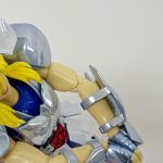フィギュアの顔と腕の聖衣の拡大