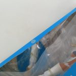 外箱の窓越しのフィギュア