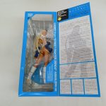 外箱を開いたところ。窓越しのフィギュアと説明文