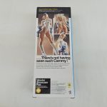 外箱の背面。フィギュアの写真と英文の説明